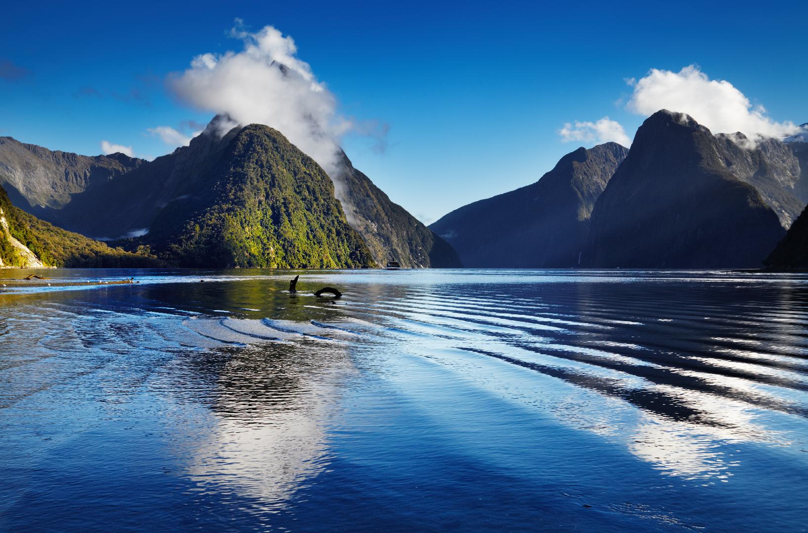 Rejseblog - New Zealand